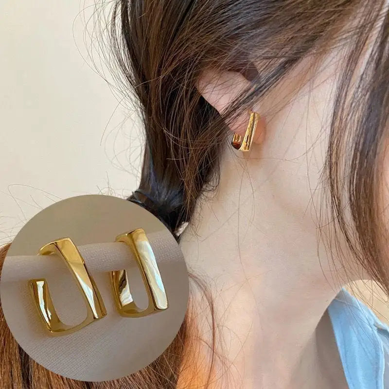 925 Silver Needle Korean Big Elegant Earrings For Woman Metal Jewelry 2025 Trending Vintage Geometric Women's Earrings Z40