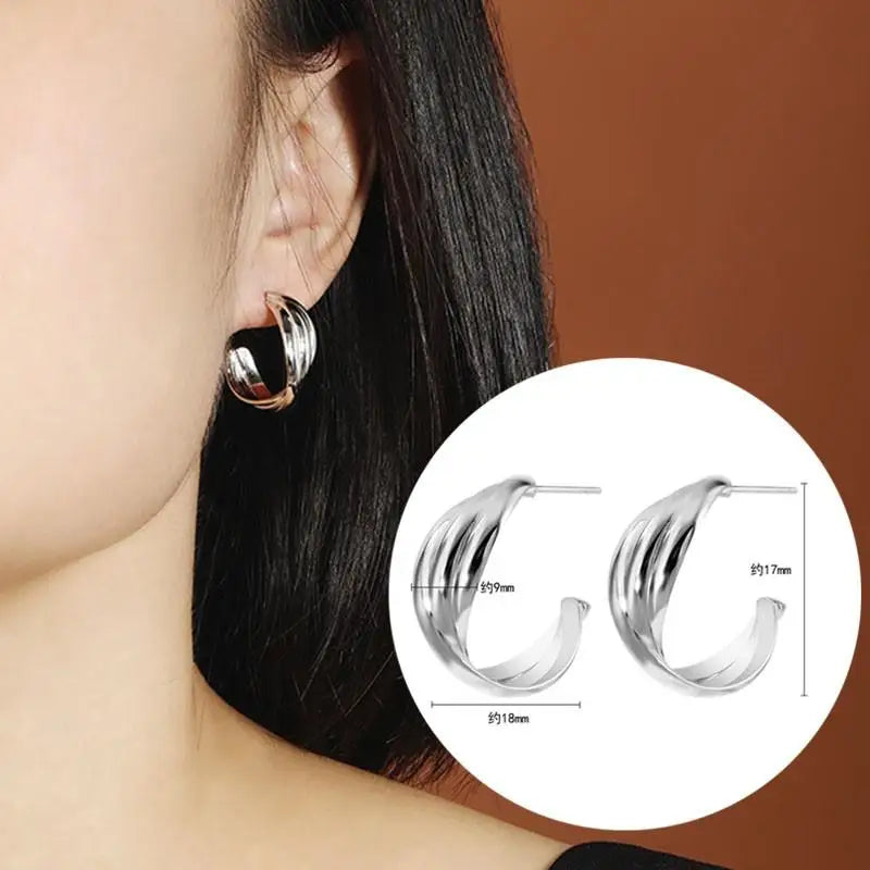 925 Silver Needle Korean Big Elegant Earrings For Woman Metal Jewelry 2025 Trending Vintage Geometric Women's Earrings Z40
