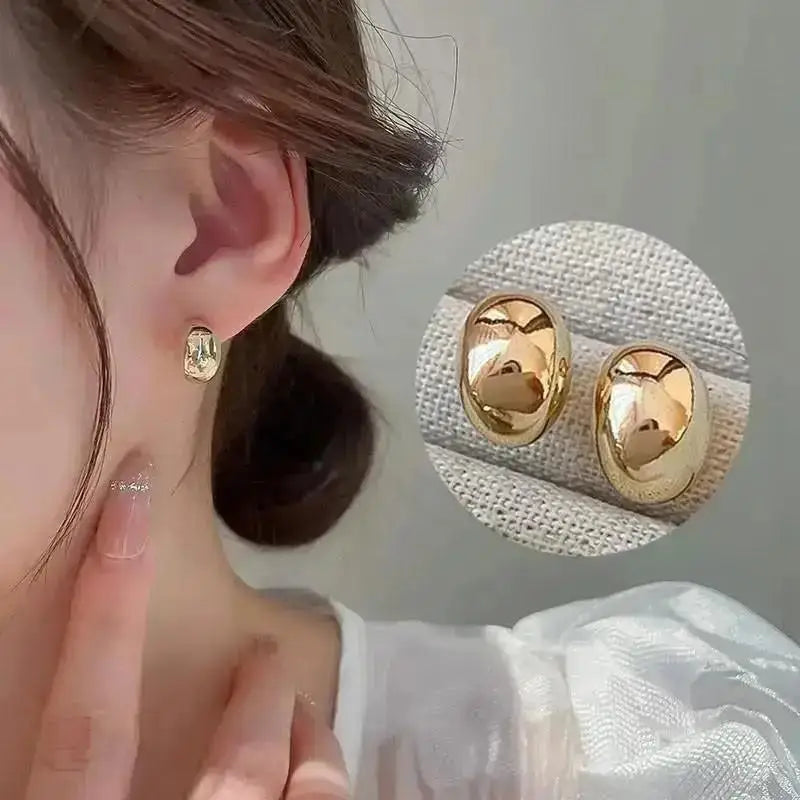 925 Silver Needle Korean Big Elegant Earrings For Woman Metal Jewelry 2025 Trending Vintage Geometric Women's Earrings Z40