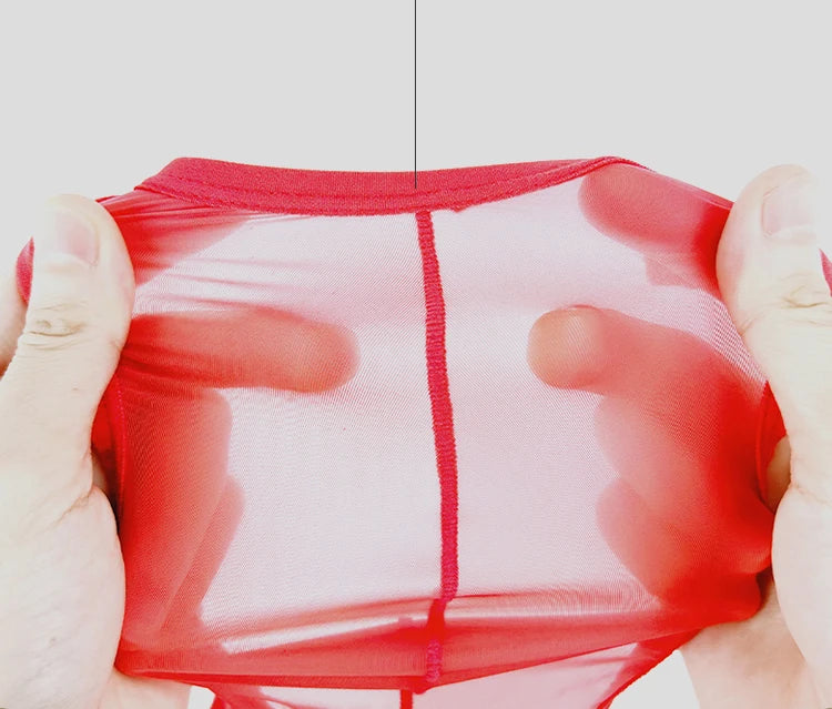 Transparent U Pouch Man Briefs Bikini Lingerie Sexy Low Waist Mens Soft Underwear Breathable Quick dry Male Triangle Underpants
