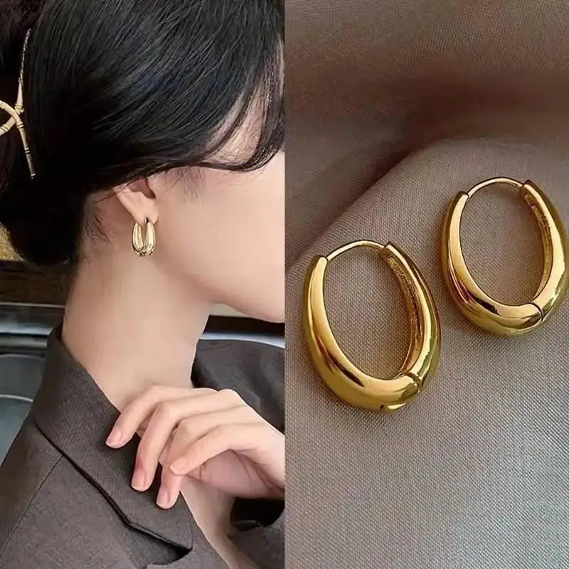925 Silver Needle Korean Big Elegant Earrings For Woman Metal Jewelry 2025 Trending Vintage Geometric Women's Earrings Z40
