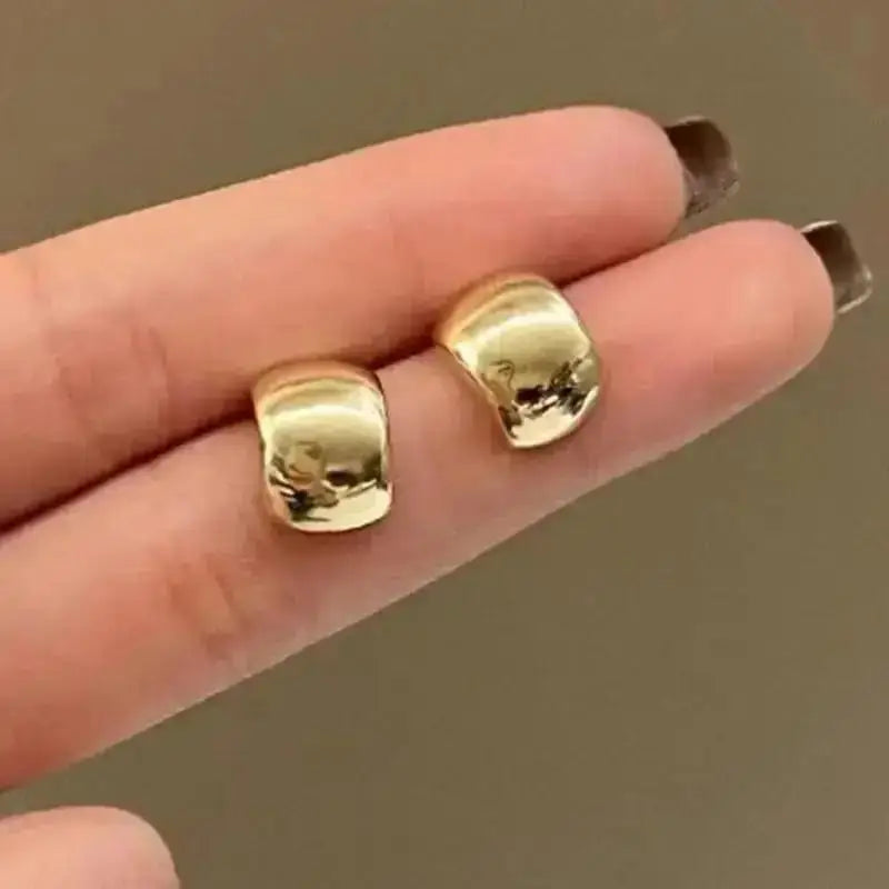 925 Silver Needle Korean Big Elegant Earrings For Woman Metal Jewelry 2025 Trending Vintage Geometric Women's Earrings Z40