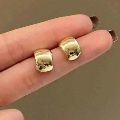 925 Silver Needle Korean Big Elegant Earrings For Woman Metal Jewelry 2025 Trending Vintage Geometric Women's Earrings Z40