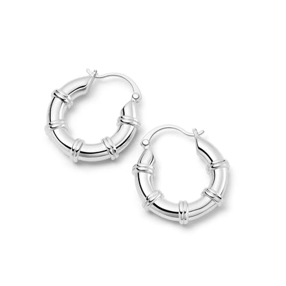 20mm Stainless Steel Hoop Earrings for Women Smooth Metal Round Chunky Ear Buckle Huggie Earrings Jewelry Accessories Wholesale