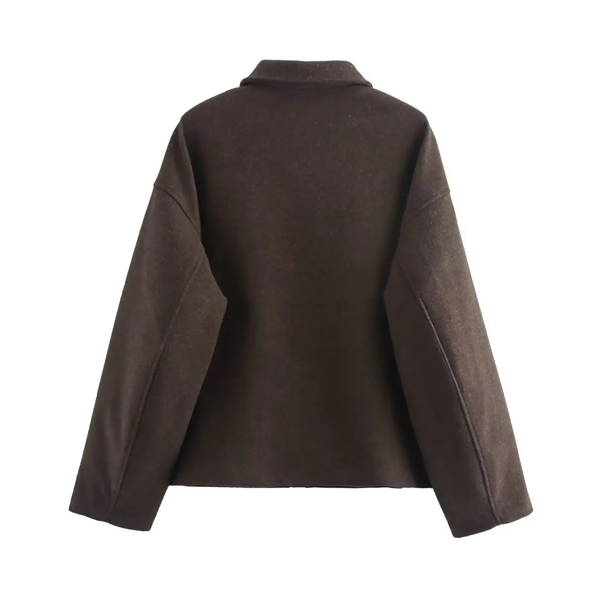Autumn and winter fashion lapel long-sleeved zipper woolen coat 2024 European and American loose casual jacket