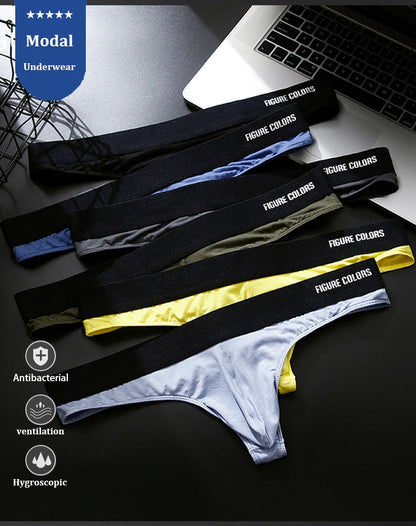 Men's Underwear G-string Pants Modal Low Rise Sexy Pure Sexy Style Special Spicy High Grade All In One General Purpose Pants